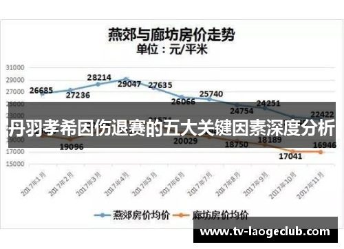 丹羽孝希因伤退赛的五大关键因素深度分析