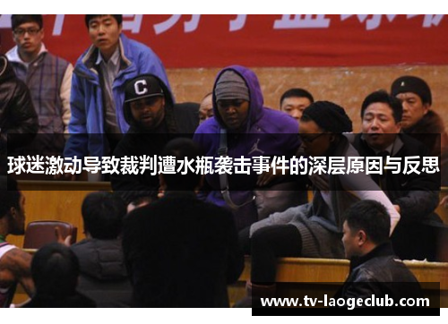 球迷激动导致裁判遭水瓶袭击事件的深层原因与反思