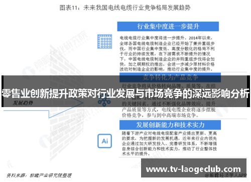 零售业创新提升政策对行业发展与市场竞争的深远影响分析 零售业创新提升政策对行业发展与市场竞争的深远影响分析