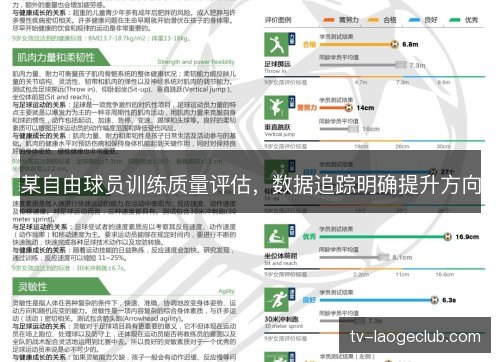 某自由球员训练质量评估,数据追踪明确提升方向 某自由球员训练质量评估,数据追踪明确提升方向